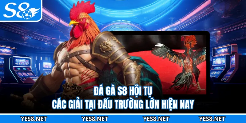 Đá gà S8 hội tụ các giải tại đấu trường lớn hiện nay